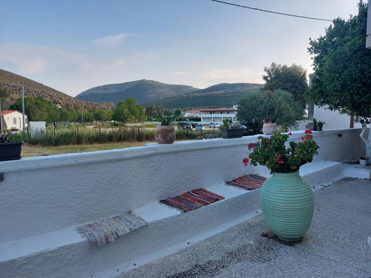 Vitamin Sea Apartment 4, Άνετο Διαμέρισμα. Almiropotamos Bagian luar foto